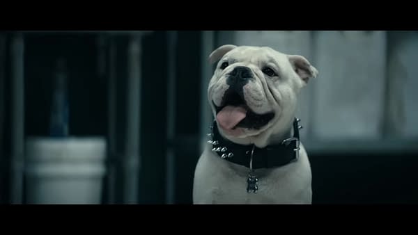 The Boys Season 5/Supernatural Reunion: What We've Learned So Far