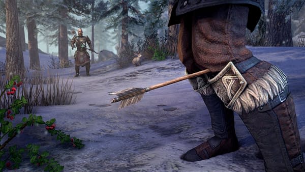 The Elder Scrolls Online Reveals