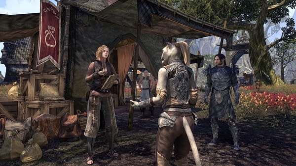 The Elder Scrolls Online Reveals New Details For Season Zero