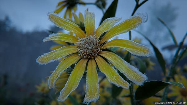 Final Fantasy XIV Announces Evercold Expansion For January 2027