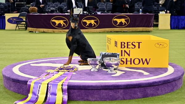 Westminster Dog Show
