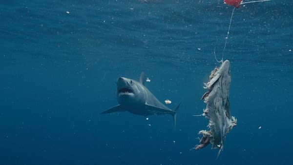 Shark Week 2026 Goes K-Pop with Ken Jeong and REI AMI & Much More
