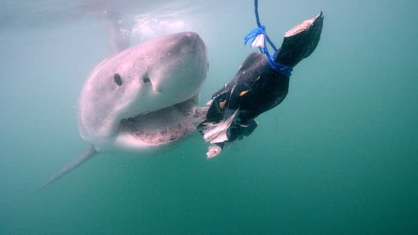 Shark Week 2026 Goes K-Pop with Ken Jeong and REI AMI & Much More