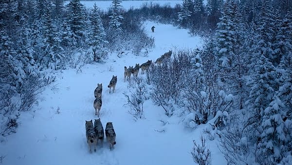 The Americas Returns Tonight! "The Frozen North" & "Mexico" Fun Facts