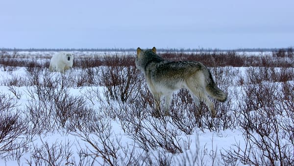 The Americas Returns Tonight! "The Frozen North" & "Mexico" Fun Facts
