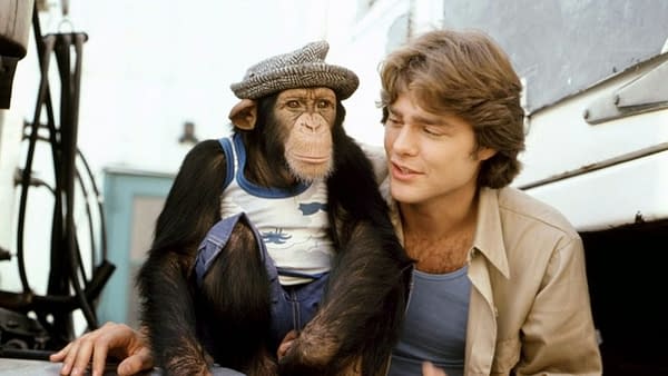 Greg Evigan Says He Turned Down Starring in Knight Rider