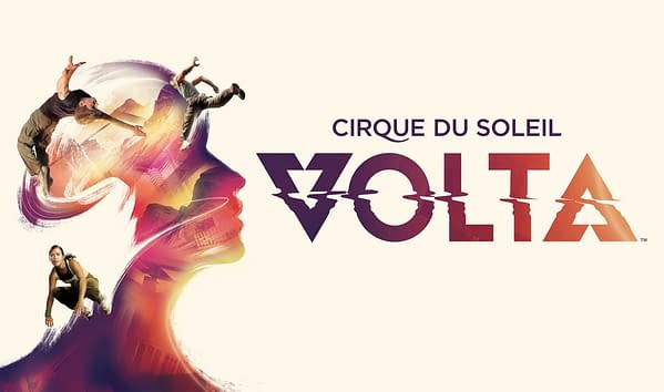 Cirque du Soleil Aerialist Dies After Fall During Live Performance