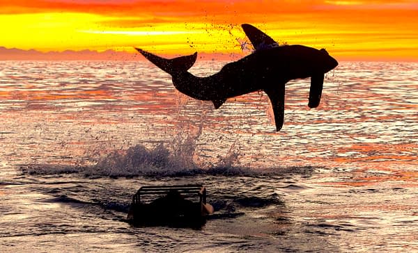 Shark Week 2025 Night 1 Preview: Dancing with Sharks, Air Jaws & More