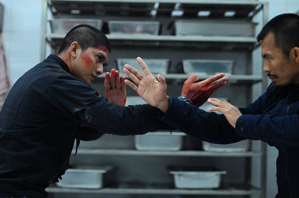 The raid 2