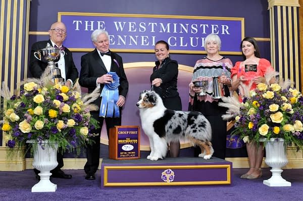 2024 Westminster Kennel Club Dog Show Dates Set; 2023 Rewind (IMAGES)