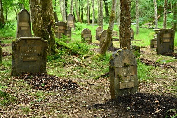 The Traitors Going "Red Wedding"? S04E06: "Planning a Coup" Preview