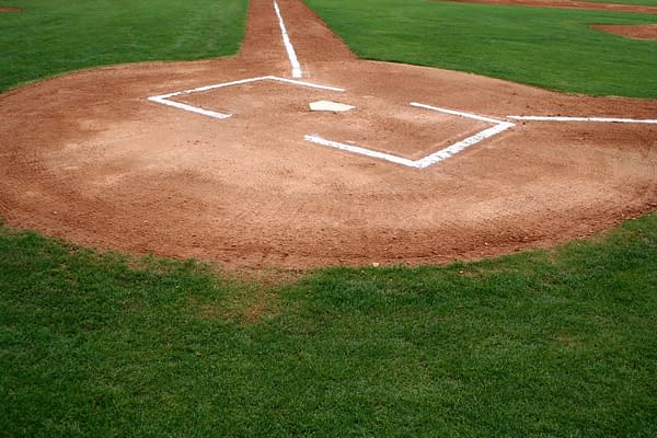 Baseball Batter's Box -- David Lee/Shutterstock.com