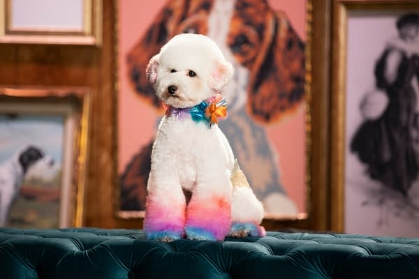 Haute Dog Review: HBO Max Dog Grooming Series is Absolute Paw-fection