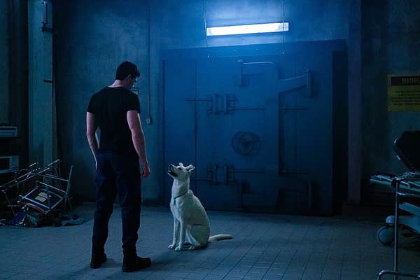 Titans star Joshua Orpin introduced the world to the newest Krypto (Image: WarnerMedia)