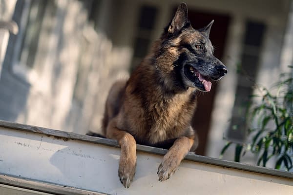 New The Walking Dead Season 10C Images: Princess, Maggie, Negan &#038; More