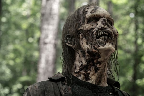 The Walking Dead S11E12 Scene: Mercer's Advice Could Save Daryl's Life