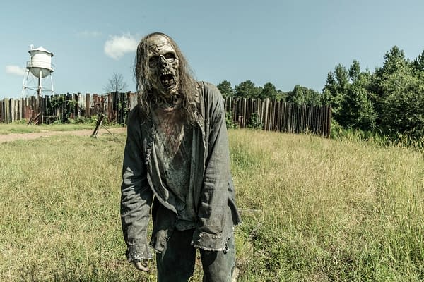 The Walking Dead DoP Confirms 2 Weeks of Series Finale Filming Remain