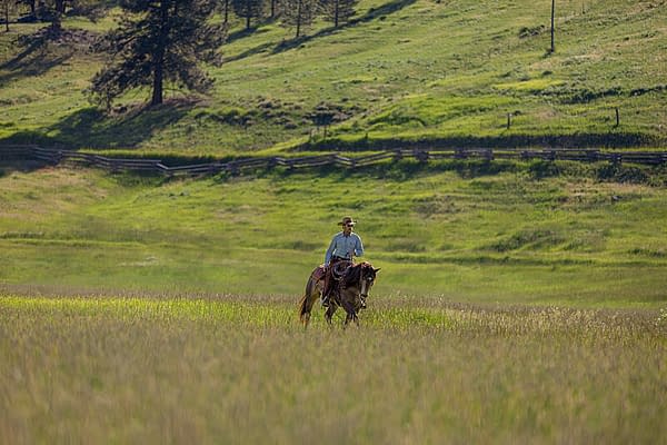 yellowstone