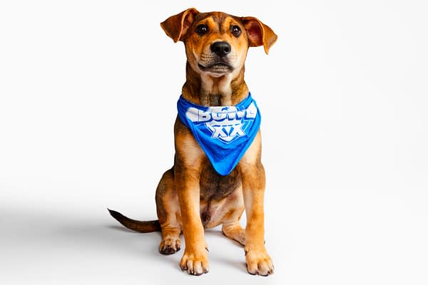 Puppy Bowl XX Viewing Guide: How to Watch Team Ruff vs Team Fluff