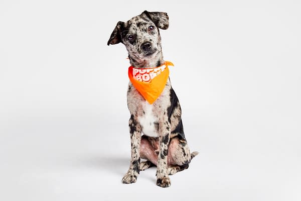 Puppy Bowl XX Trailer/Images: Check Out Team Ruff &#038; Team Fluff!