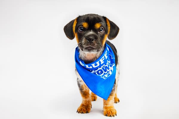 Puppy Bowl