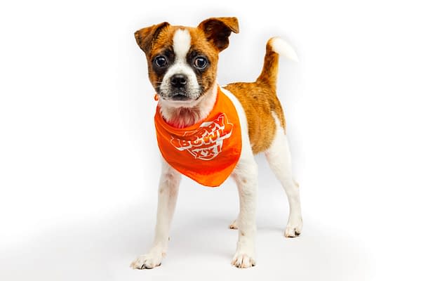 Puppy Bowl XXI Viewing Guide: Team Ruff/Team Fluff Rosters &#038; More!