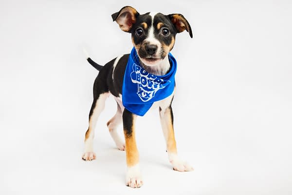 Puppy Bowl