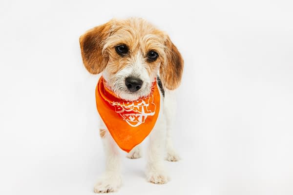 Puppy Bowl XXI Viewing Guide: Team Ruff/Team Fluff Rosters &#038; More!