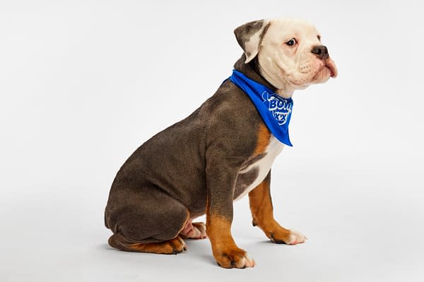 Puppy Bowl