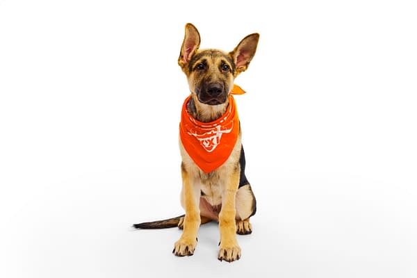 Puppy Bowl