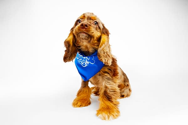 Puppy Bowl