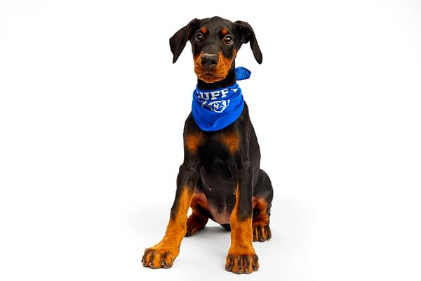Puppy Bowl