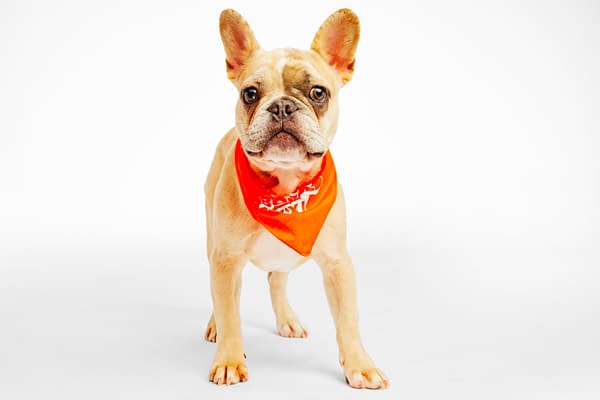 Puppy Bowl