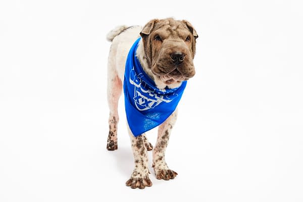 Puppy Bowl