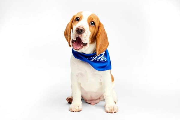 Puppy Bowl