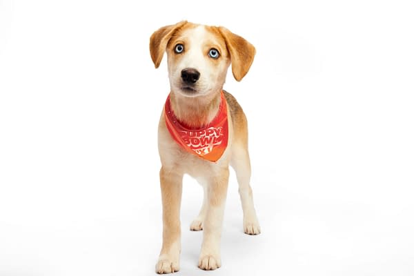 Puppy Bowl