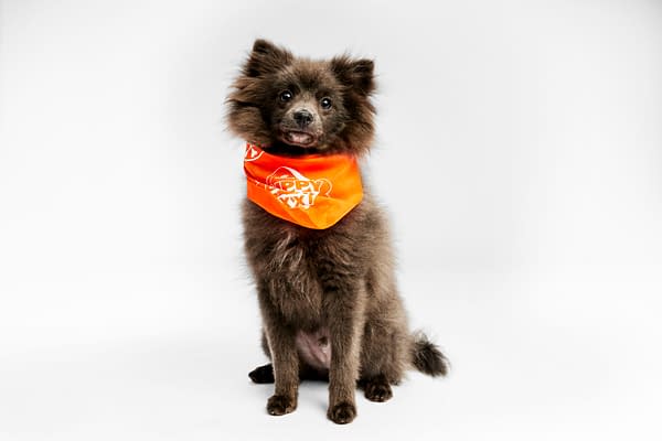 Puppy Bowl