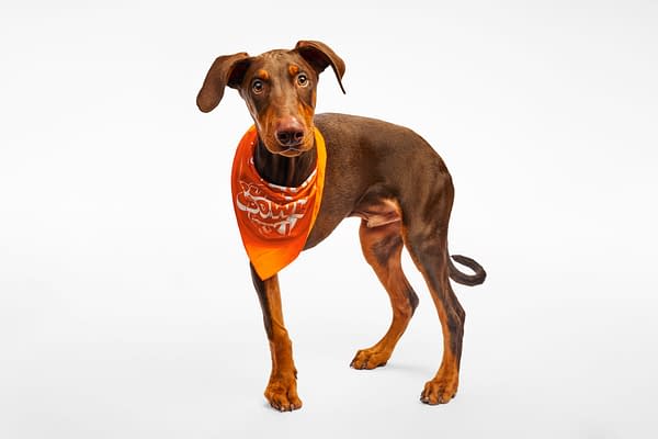Puppy Bowl XXI Viewing Guide: Team Ruff/Team Fluff Rosters &#038; More!