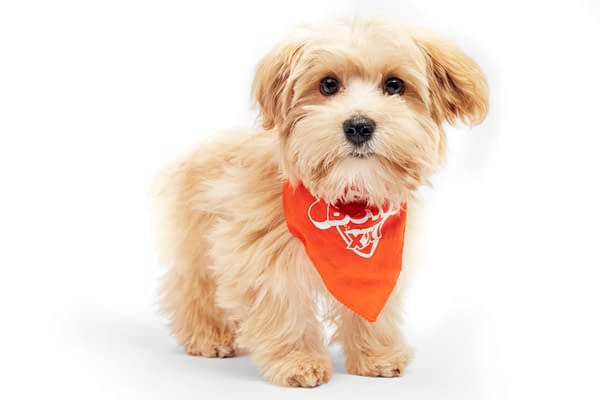 Puppy Bowl XXI Viewing Guide: Team Ruff/Team Fluff Rosters &#038; More!