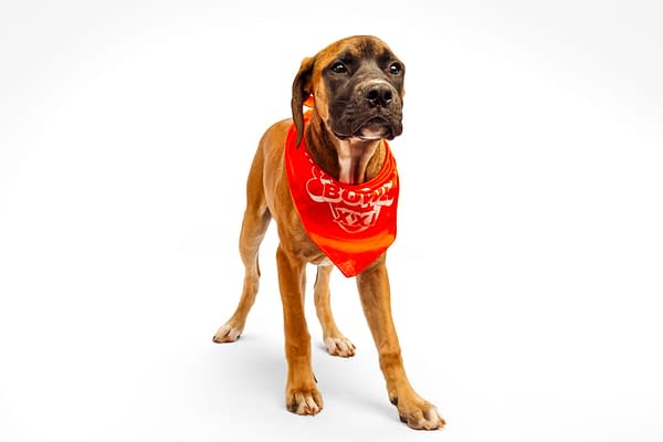 Puppy Bowl XXI Viewing Guide: Team Ruff/Team Fluff Rosters &#038; More!