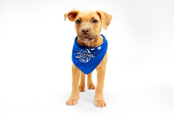 Puppy Bowl