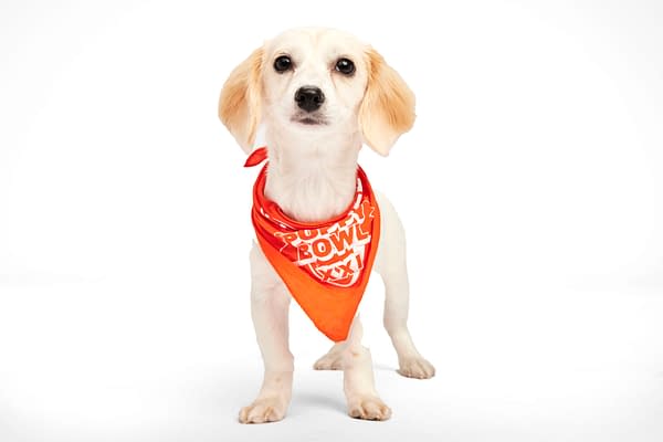 Puppy Bowl XXI Viewing Guide: Team Ruff/Team Fluff Rosters &#038; More!