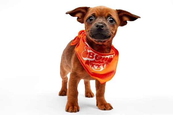 Puppy Bowl XXI Viewing Guide: Team Ruff/Team Fluff Rosters &#038; More!