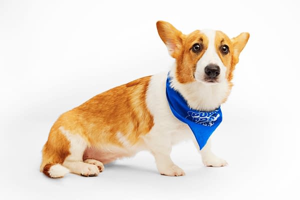 Puppy Bowl