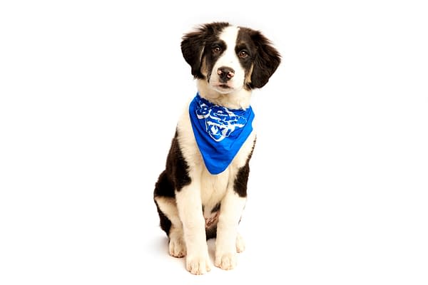 Puppy Bowl