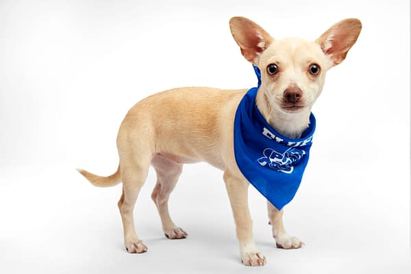 Puppy Bowl