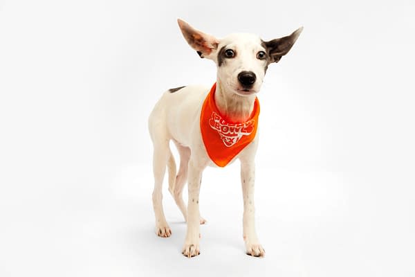 Puppy Bowl XXI Viewing Guide: Team Ruff/Team Fluff Rosters &#038; More!