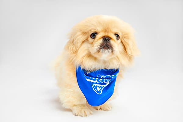 Puppy Bowl