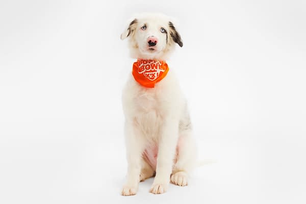 Puppy Bowl XXI Viewing Guide: Team Ruff/Team Fluff Rosters &#038; More!