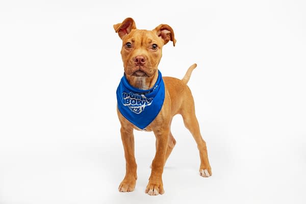 Puppy Bowl